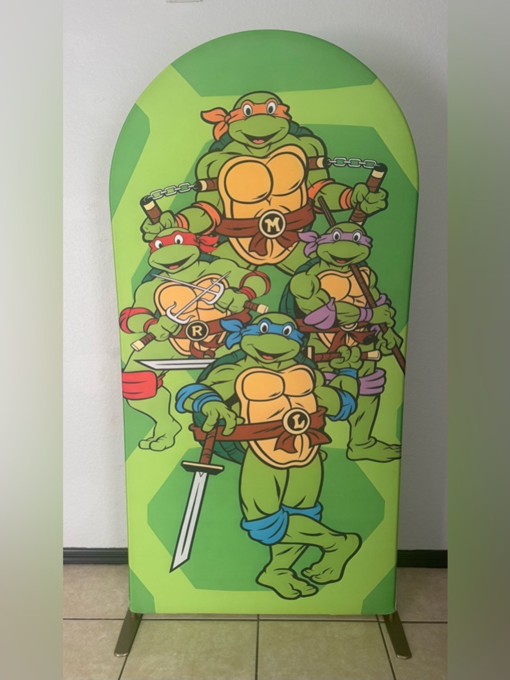 Ninja Turtles Arch Backdrop Cover